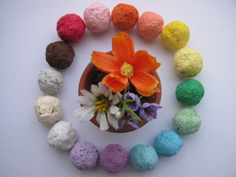 Wildflower Seed Bombs: DIY Recipes & Tips