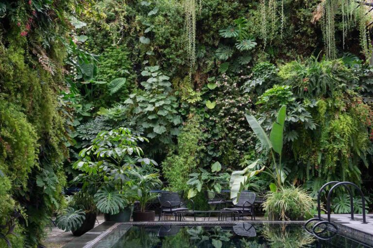 Vertical Jungle Garden: Build a Lush Living Wall