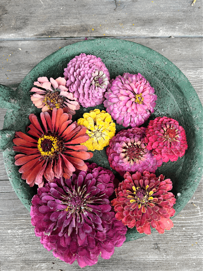 Flower Drying Silica: Quick Guide to Preserving Blooms