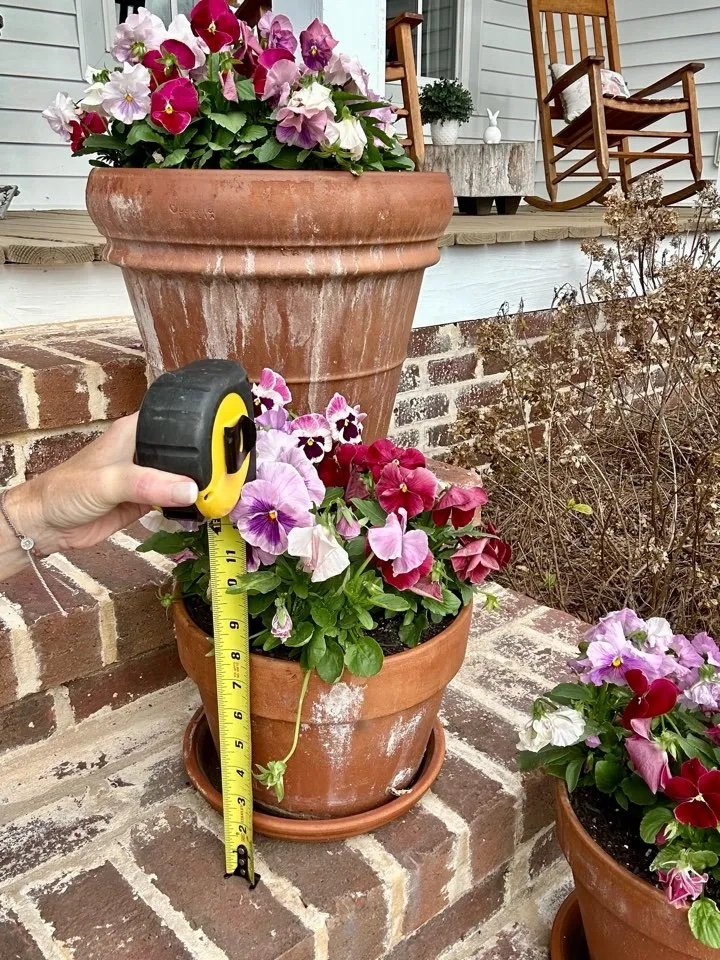 Winter Pansy Containers: Creative Ideas