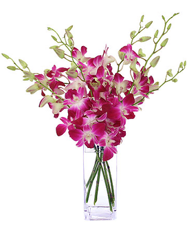 Orchid Bouquet Longevity: Quick Care Tips