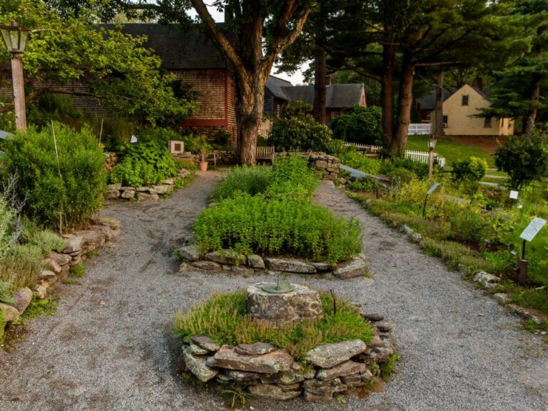 Nostalgic Herb Garden: Timeless Layout Ideas for BloomHaven