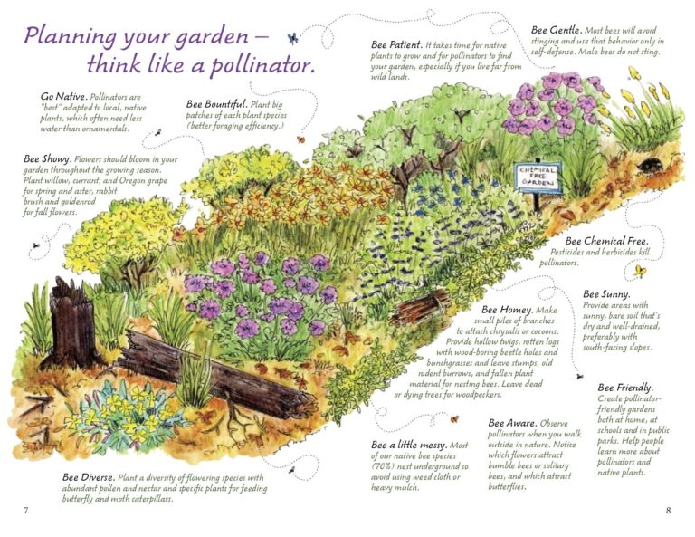 Pollinator Pathway Design Ideas: Nectar-Rich Gardens