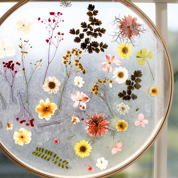Pressed Flower Suncatcher DIY: Create a Floral Window Accent