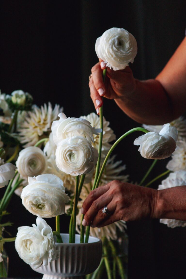 ranunculus vase life: Essential Longevity Guide