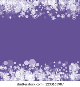 Winter Violet Border Design: A Gardener’s Guide